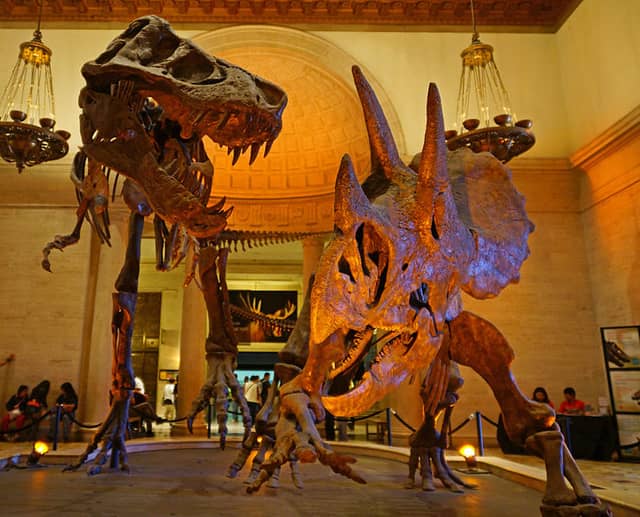 Natural History Museum - Los Angeles Attractions