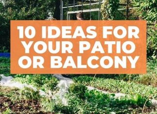 Patio Or Balcony