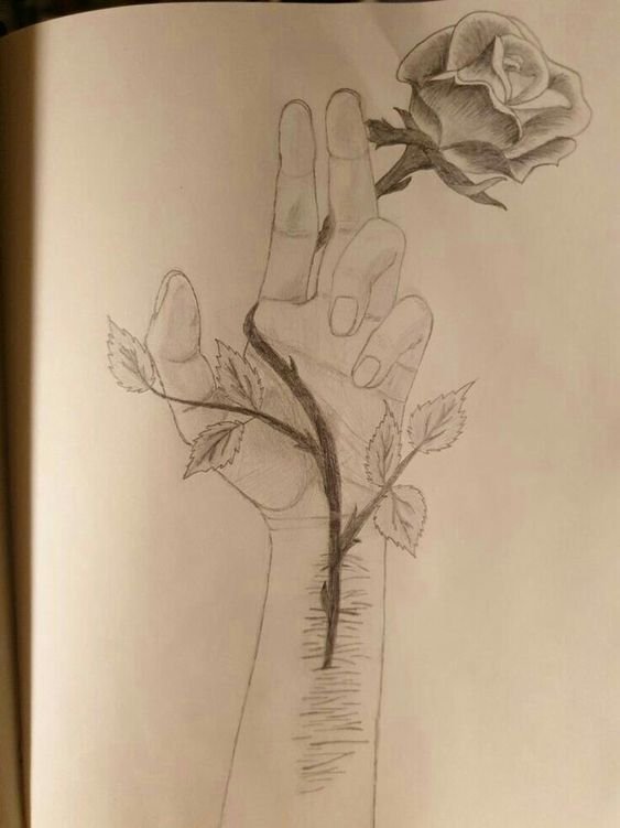 Sin Of The Rose drawing