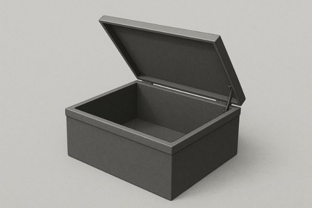 Open top-access storage box with hinged lid